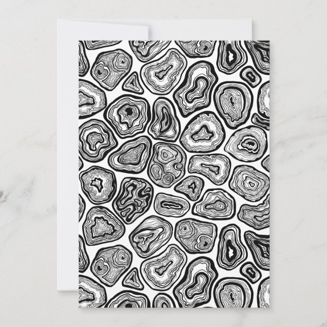 白と黒の輪切り (正面)