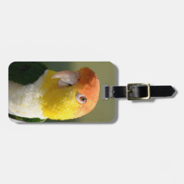 白によって膨らまされるシロハラインコのオウム ラゲッジタグ