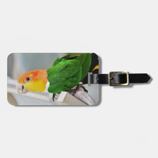 白によって膨らまされるシロハラインコのオウム ラゲッジタグ (正面横)