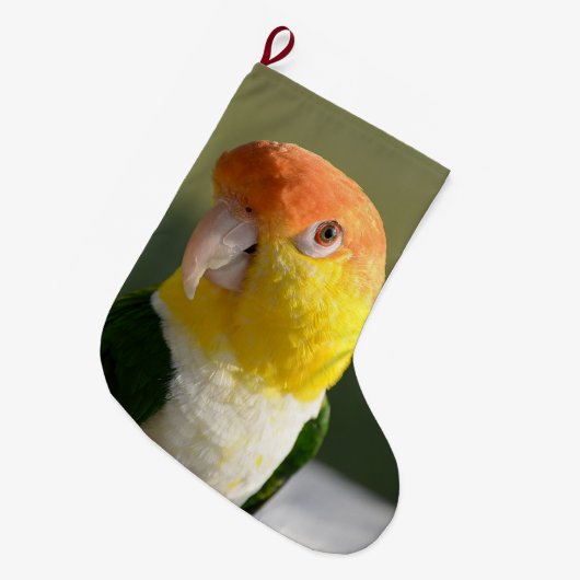 白によって膨らまされるシロハラインコのオウム ラージクリスマスストッキング (正面 (吊り時))