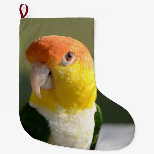白によって膨らまされるシロハラインコのオウム ラージクリスマスストッキング (正面)