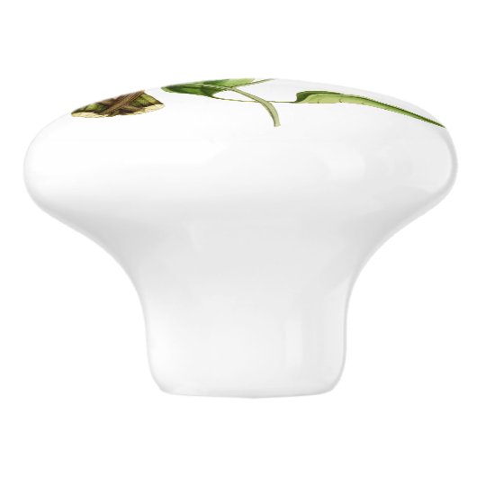 白によって膨らまされる山の宝石のハチドリ セラミックノブ (側面)