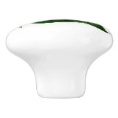 白によって膨らまされる木製の星のハチドリ セラミックノブ (側面)