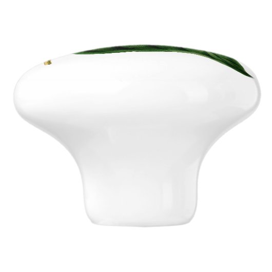 白によって膨らまされる木製の星のハチドリ セラミックノブ (側面)