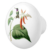 白によって膨らまされる木製の星のハチドリ セラミックノブ (右)