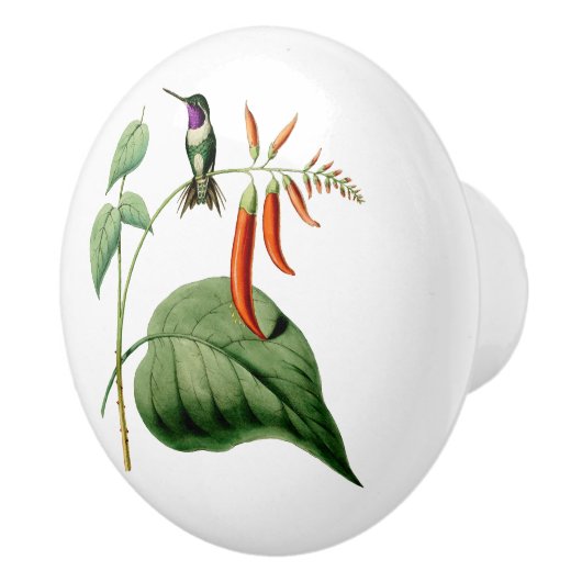 白によって膨らまされる木製の星のハチドリ セラミックノブ (右)