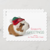白にクリスマスハットをかけた可愛いモルモット シーズンカード (正面/裏面)