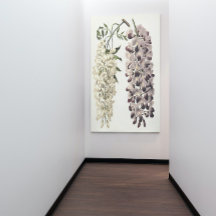 白に分離されたフジタヤ