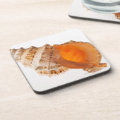 白に対する巨大なカエルの貝(Tutufaのbubo) コースター (左側)