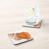 白に対する巨大なカエルの貝(Tutufaのbubo) コースター (右側)