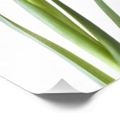 白に紫の菖蒲の花 フォトプリント            (角)