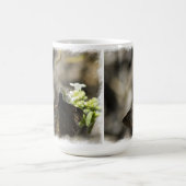 白に茶色の蝶 コーヒーマグカップ (中央)