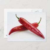白に赤唐辛子のクローズアップ ポストカード (正面/裏面)