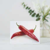 白に赤唐辛子のクローズアップ ポストカード (スタンド正面)