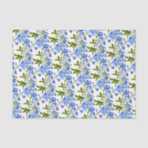 白に青いデルフィニウムの花