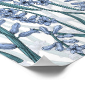 白に青いヒヤシンスの花 ポスター (角)