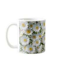 白のエレガントデイジー