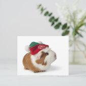 白のクリスマスの帽子を持つかわいいモルモット シーズンポストカード (スタンド正面)