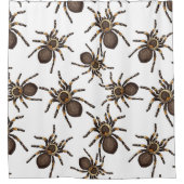 白のタランチュラ シャワーカーテン (正面)