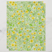 白のバターカップ (正面/裏面)