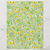 白のバターカップ (正面)