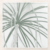 白のポニーテイルパームの葉 ガラスコースター (正面)