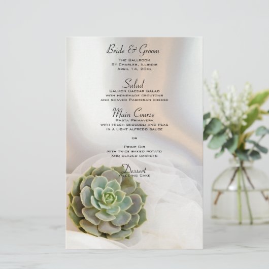 白のメニューに結婚緑の多肉汁 (スタンド正面)