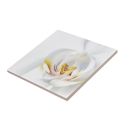 白のラン タイル (側面)