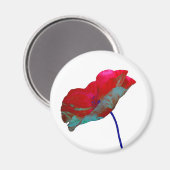 白の上に赤い青のポピー マグネット (正面/裏面)