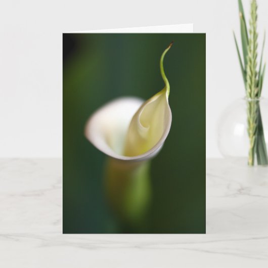 白の女性 カード (正面)