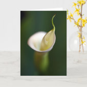白の女性 カード (黄色い花)
