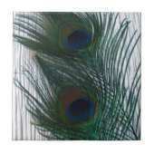 白の孔雀 タイル (正面)