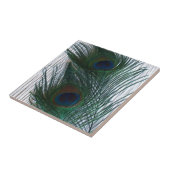 白の孔雀 タイル (側面)