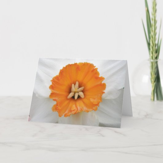 白の水仙グリーティングカード カード (正面)