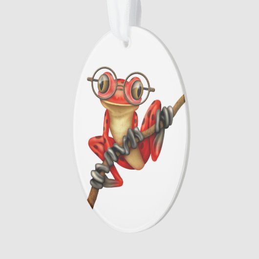 白の目ガラスを持つかわいく赤いアマガエル オーナメント (正面)
