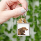 白の背部地面の前にあくびをするVizsla キーホルダー (手)