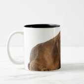 白の背部地面の前にあくびをするVizsla ツートーンマグカップ (左)