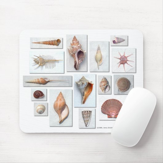 白の貝 マウスパッド (マウス)