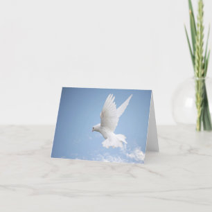 白の鳩のnotecard カード