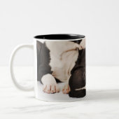 白の2匹の道化師のグレートデーンの子犬 ツートーンマグカップ (左)