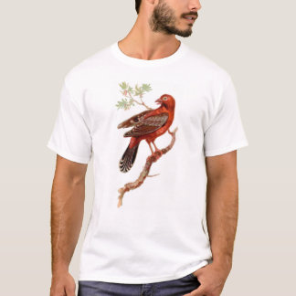 白のamandava tシャツ