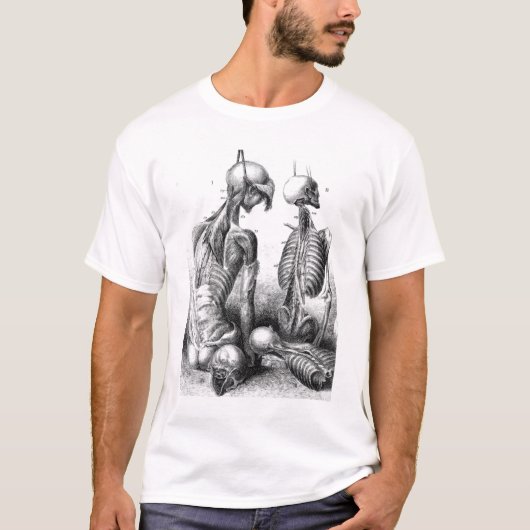 白のAnatomicae Antiqua 1 Tシャツ (正面)
