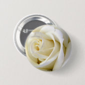 白は上がりました 缶バッジ (正面&裏面)