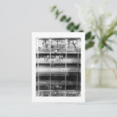 白は写真フロリダのヴィンテージのSuwanneeはねます ポストカード (スタンド正面)