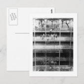 白は写真フロリダのヴィンテージのSuwanneeはねます ポストカード (正面/裏面)