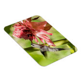 白ひげ仙人小型磁石 マグネット (右側)