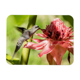 白ひげ仙人小型磁石 マグネット