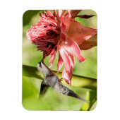 白ひげ仙人小型磁石 マグネット (縦)