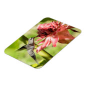 白ひげ仙人小型磁石 マグネット (左側)