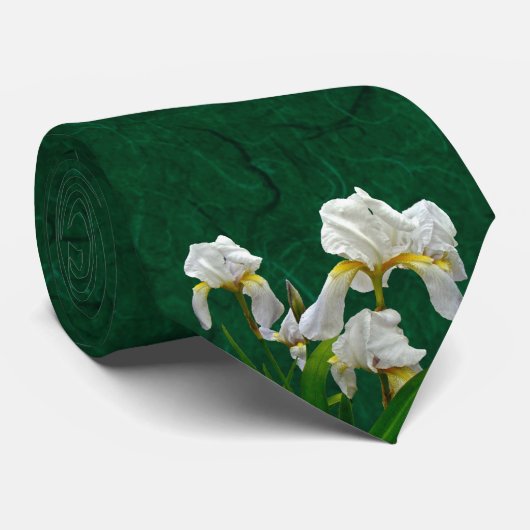 白ひげ菖蒲 ネクタイ (ロール)